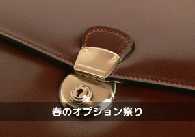 �I�v�V�����Ղ�